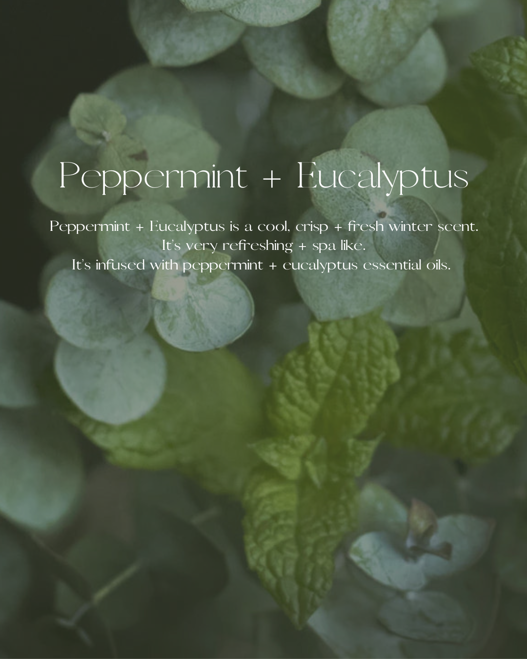 Peppermint + Eucalyptus Boutique Candle